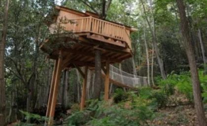 Cabane dans les bois — love room à Quincié-en-Beaujolais
