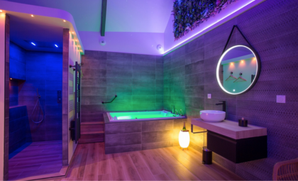 Harmonie Gîte&Spa — love room à Pleslin-Trigavou