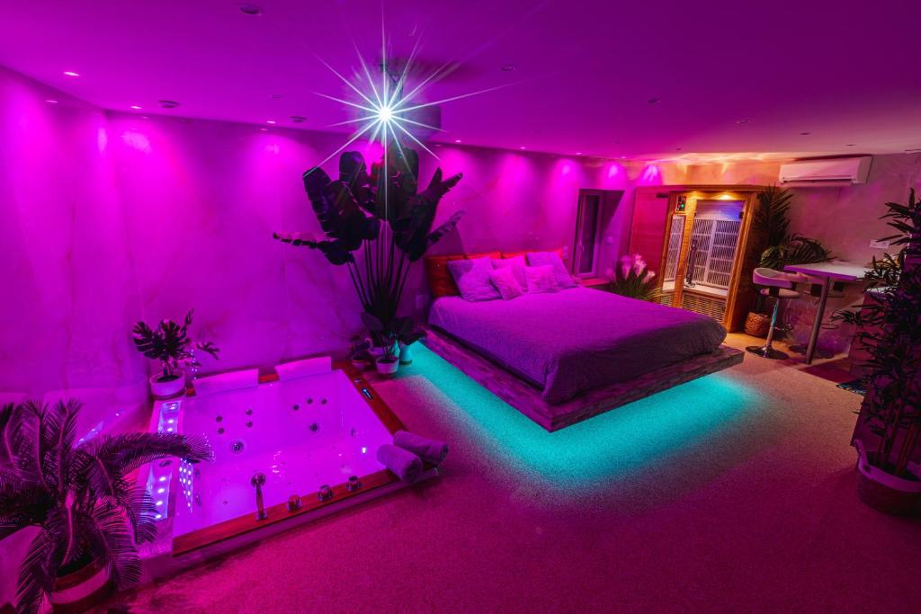 La Suite d'Aubière — love room à Aubière (5km)