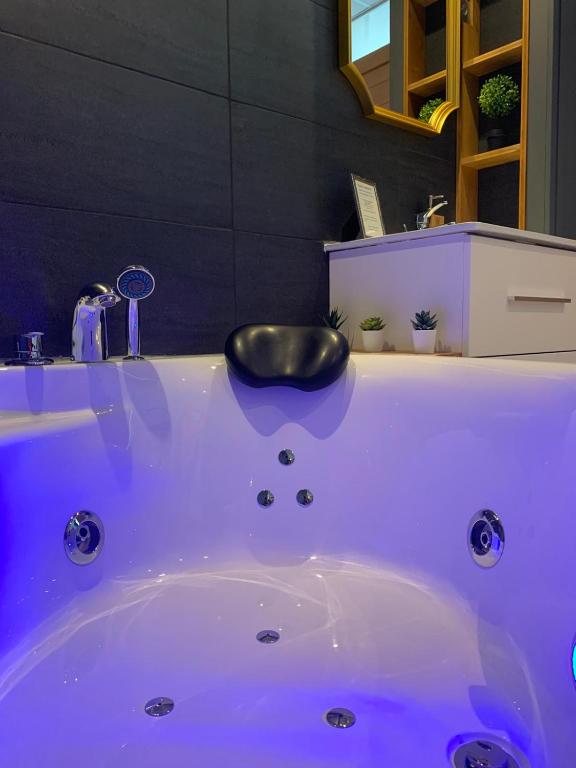 Appart d'Hugo — love room à Chambery