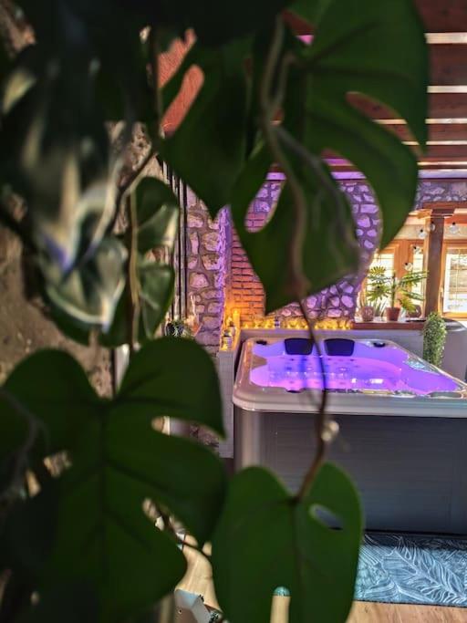 Le Petit Paradis — love room à Bouafles