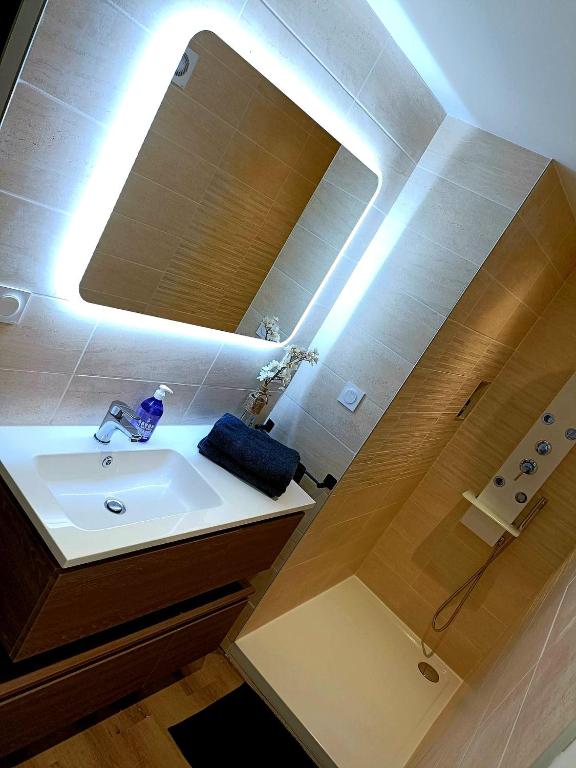 Suite Spa&Sauna — love room à Dardilly
