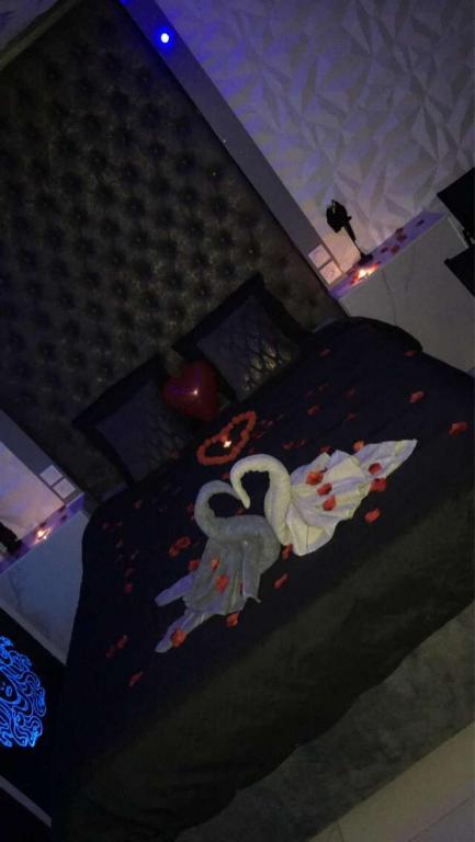 Medusa Spa 34 — love room à Montpellier