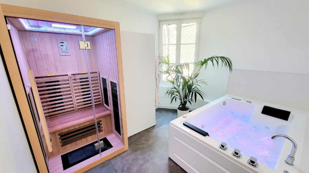 Appart spa et terrasse — love room à Reims