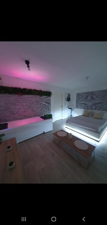 LM newstyle SPA ciné — love room à Dugny