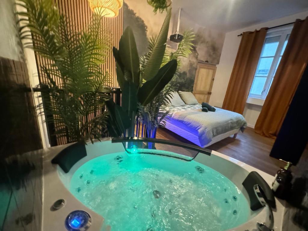 L'Oasis angevine — love room à Angers