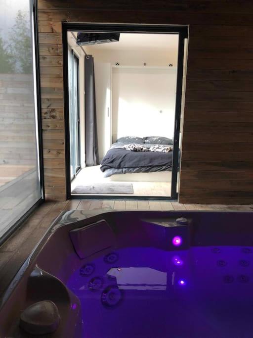 Loft avec Spa et Piscine — love room à Rennes