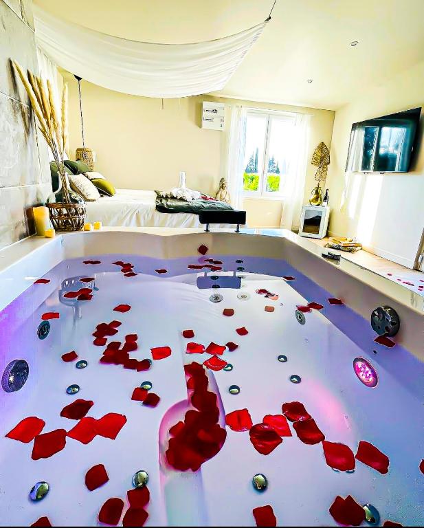 Suite Évasion — love room à Avignon