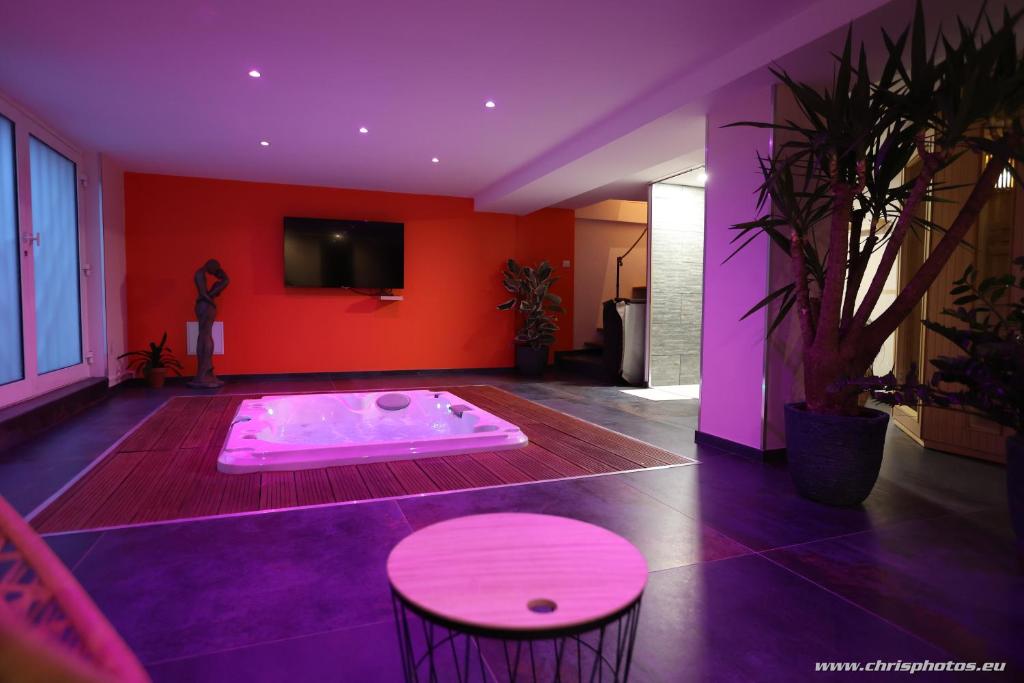 D&S Plaisir — love room à Nancy