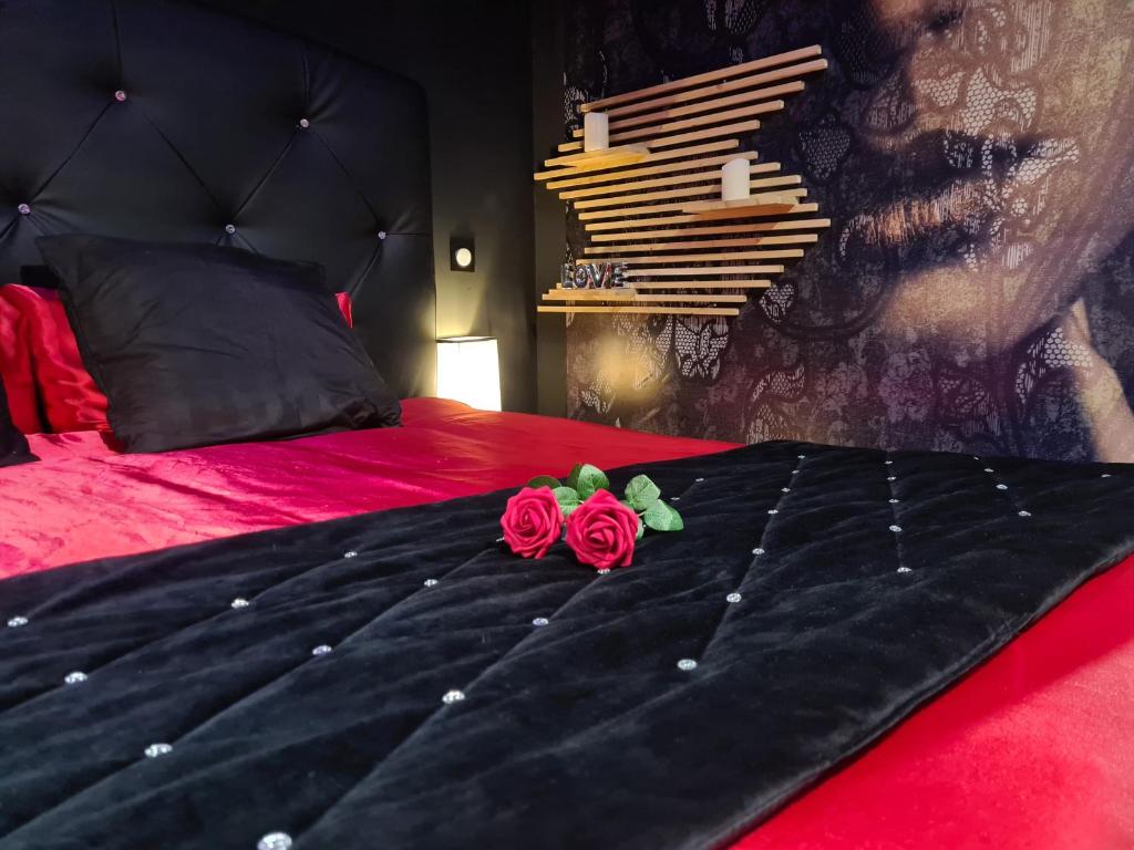 Sexyloveroom — love room à Rivesaltes