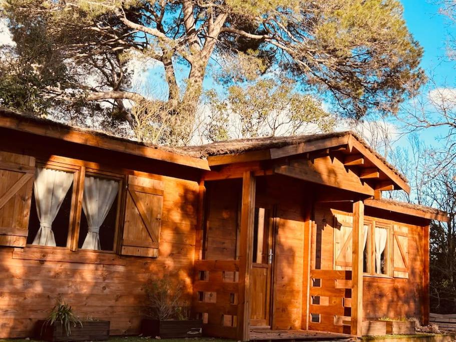 Chalet bois jacuzzi — love room à Bessan (20 km)