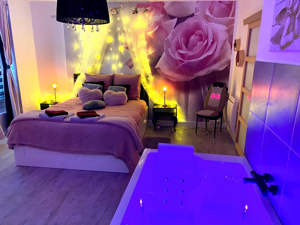 Suite Cristal VIP — love room à Avignon