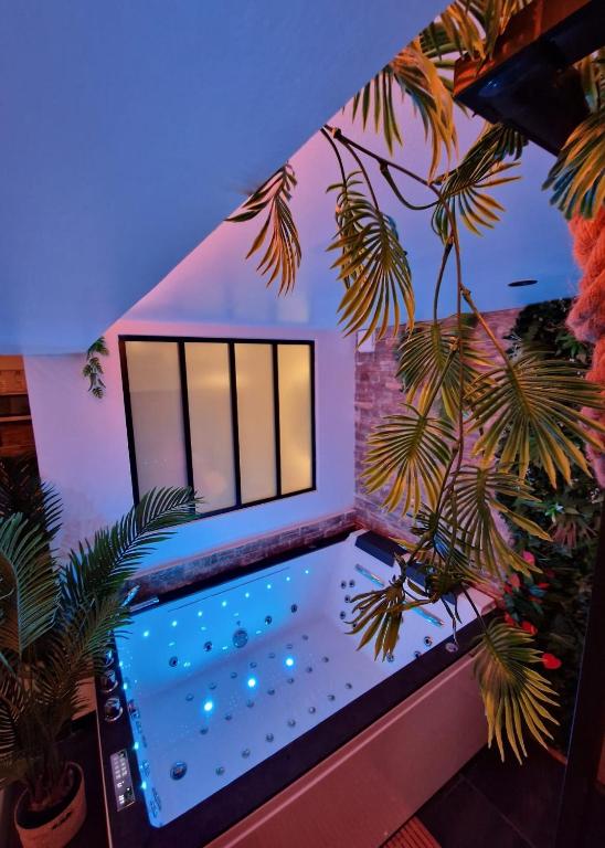 Jungle Love avec balnéo — love room à Serris