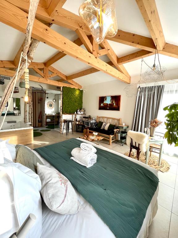 Maison Florence Ivakno — love room à Aix-en-Provence