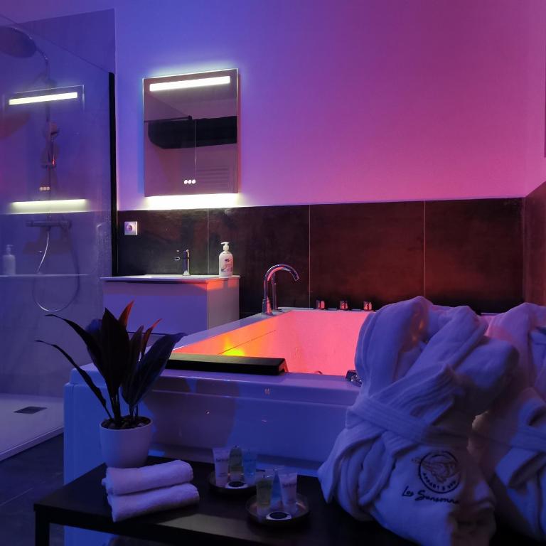 Les Sansonnets — love room à Mézy