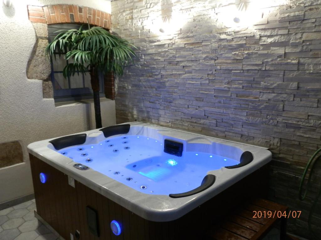 GITE IZALIN AVEC SPA — love room à Mauléon