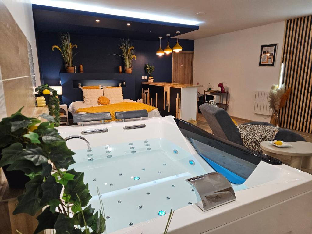 La Phine Détente Chambre — love room à Tourcoing (2km)