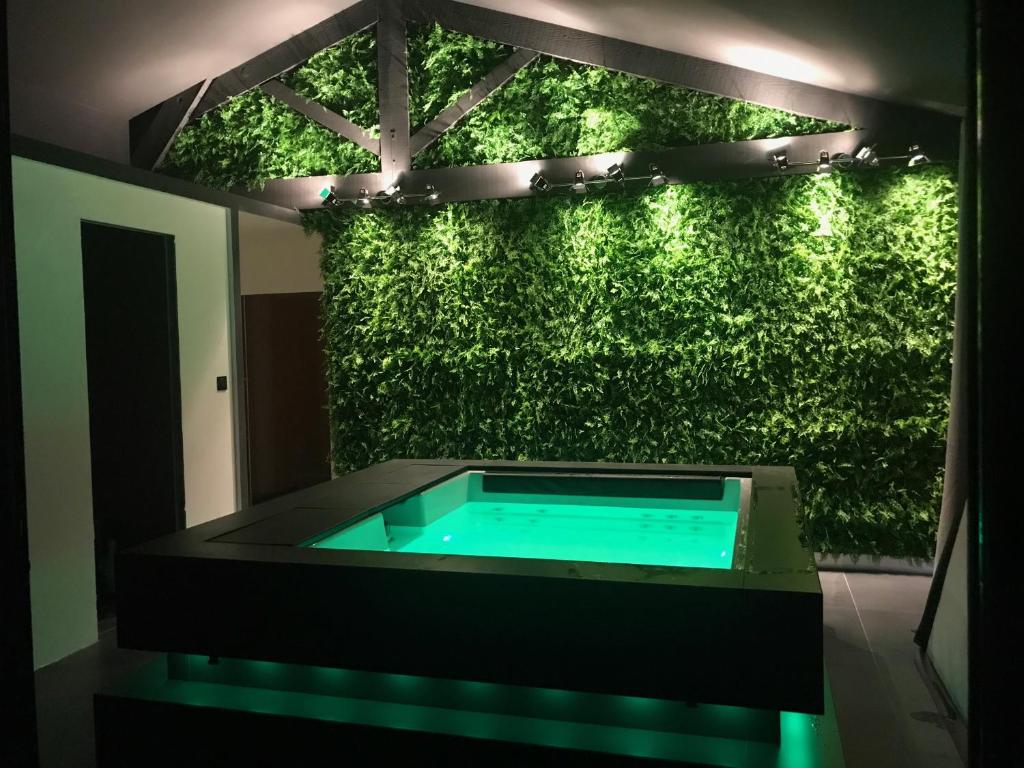 L'Appart Spa d'Alessia — love room à Eyguières (15km)