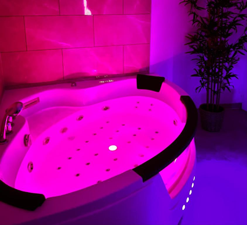 Modern SPA Cosy et Chic — love room à Brunoy