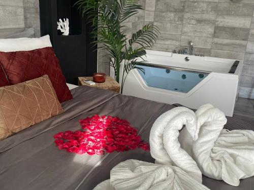Superbe appartement avec balnéo. — love room à Saint-Cyprien